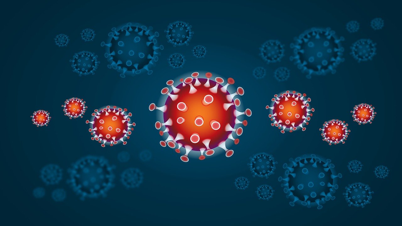 corona, coronavirus, virus